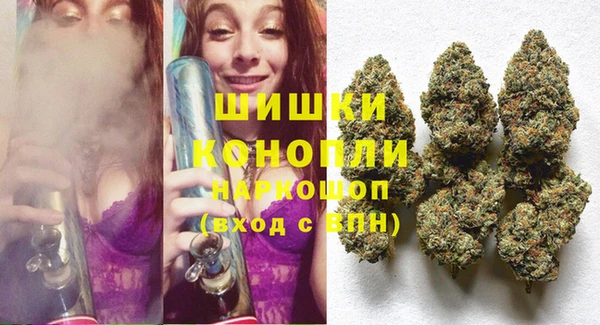 гидра Арсеньев