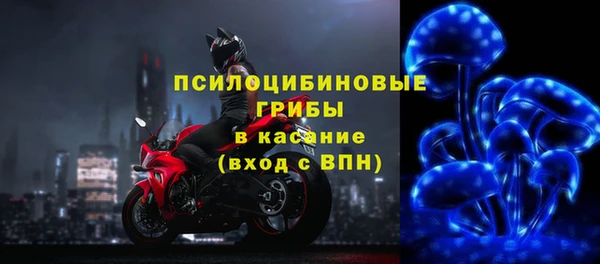 амф Аркадак