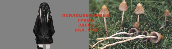 гидра Арсеньев