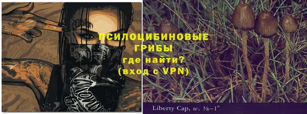 прущая мука Армянск