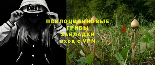 амф Аркадак