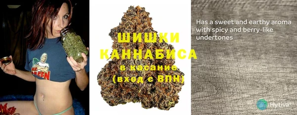 гидра Арсеньев