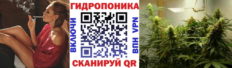 Шишки марихуана планчик  Купить закладки  Славгород 